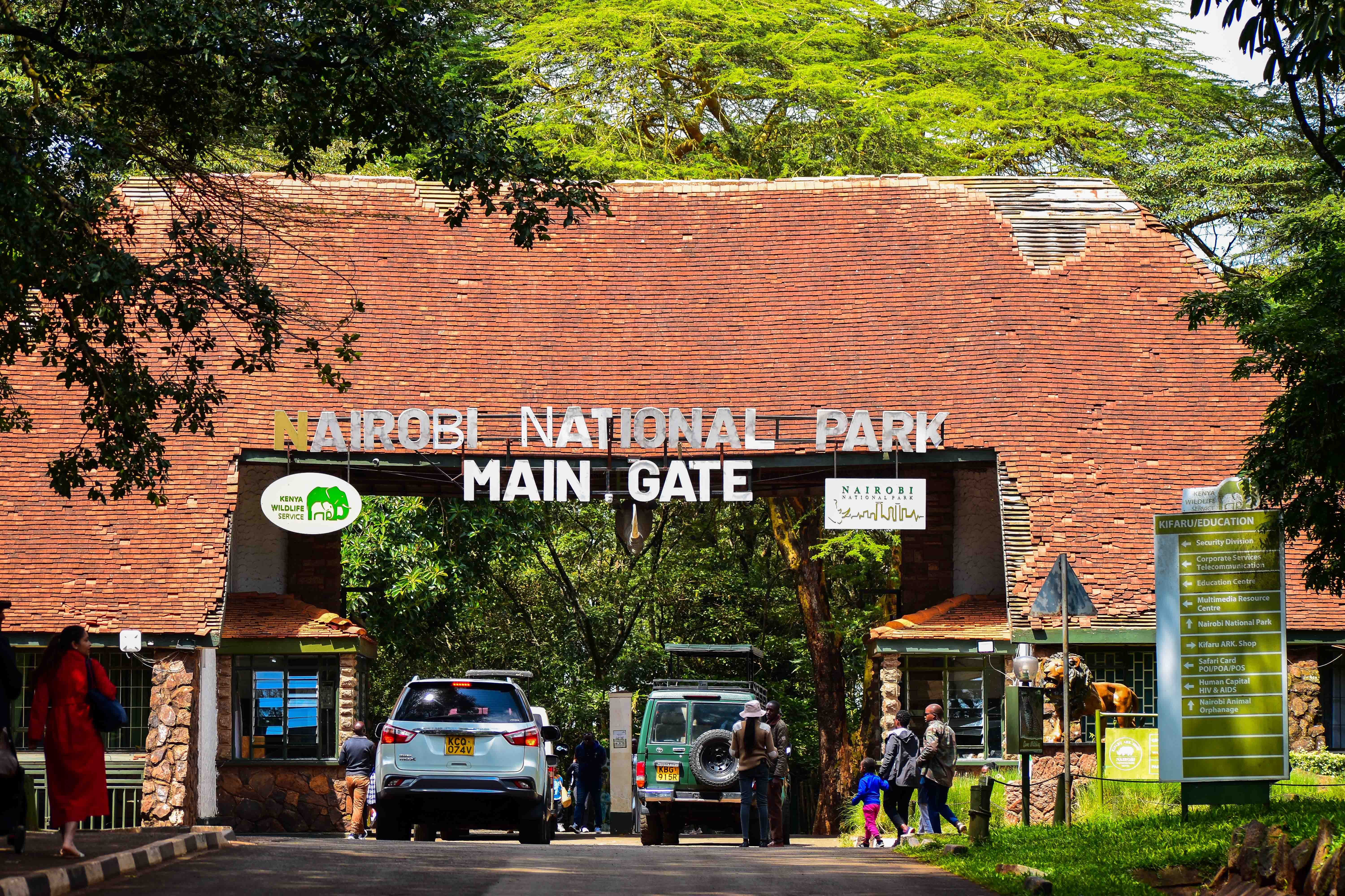 Cheetah running at full speed on plains